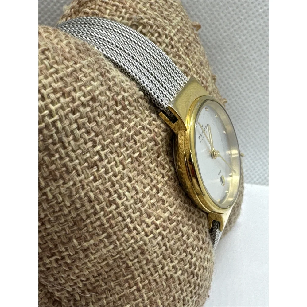 Skagen 355SGSS Women Silver Stainless Steel Mesh Analog Dial Wrist Watch JNA886